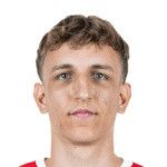 Нельсон Вайпер