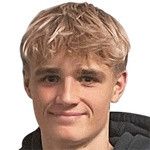 Віктор Фрохольдт