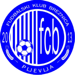 Брезница В