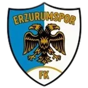 ВВ Эрзурумспор