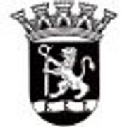 Tirsense