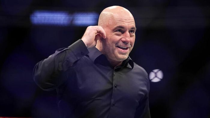 "Дико за этим наблюдать": звездный комментатор UFC поражен смелостью украинских боксеров