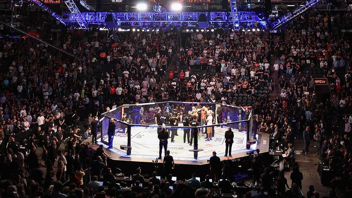 Нокаут вечора: охоронець брутально викинув шалену фанатку UFC, яка хотіла прорватися в октагон