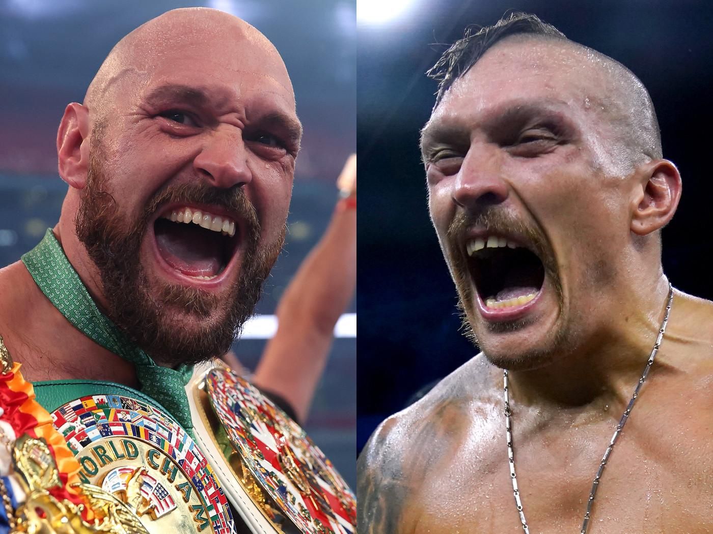 Фьюри и Усик / Коллаж из соцсетей