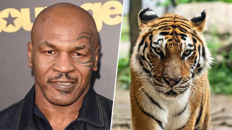 Майк Тайсон / Коллаж The Tylt