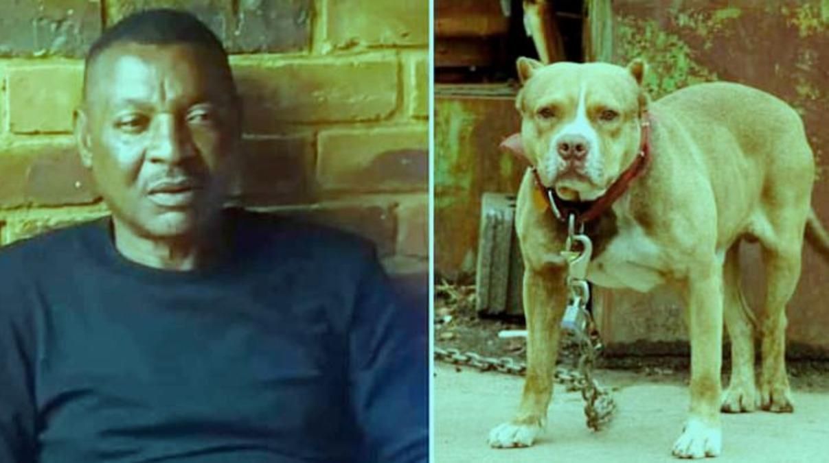 Филлемон Мулала / taarifa Филлемон Мулала / taarifa