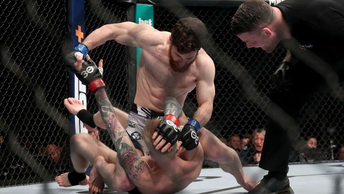 Молниеносный нокаут заставил бойца UFC бороться с судьей – видео хаоса