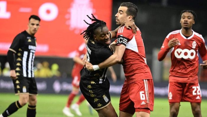 Божевілля у Бельгії: футбольні фанати закидали трибуни суперника дохлими щурами