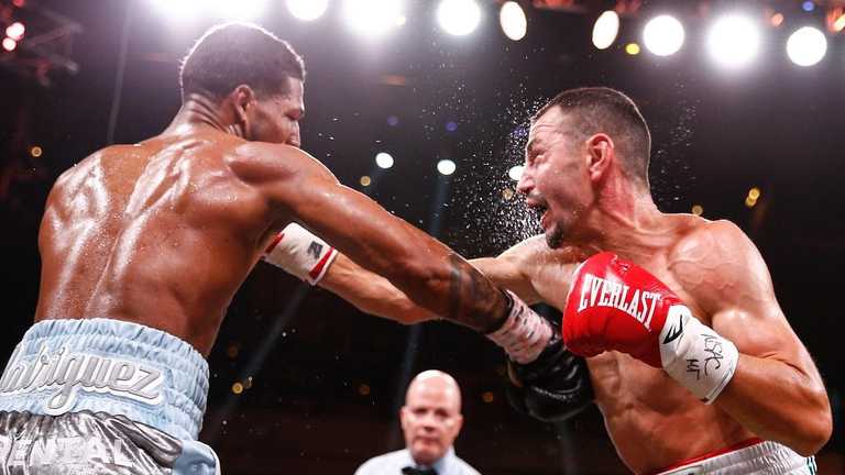 Віктор Постол – Елвіс Родрігес / Фото Showtime Boxing