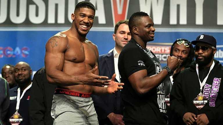 Джошуа та Вайт / фото із соцмереж Джошуа та Вайт / фото із соцмереж