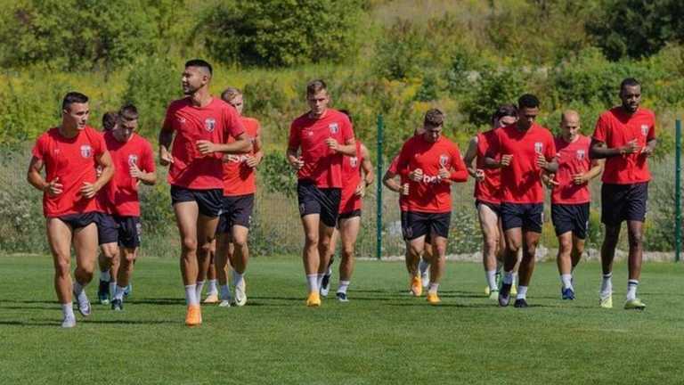 Вереск / фото из открытых источников Вереск / фото из открытых источников