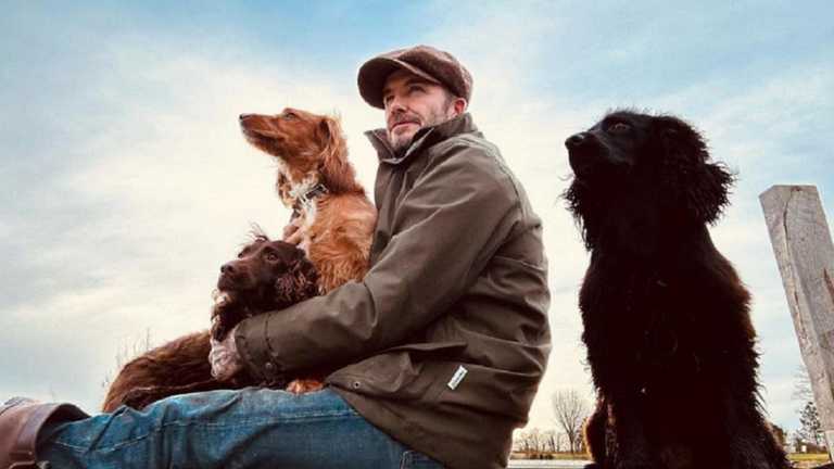 Дэвид Бекхэм / Фото instagram.com/davidbeckham Дэвид Бекхэм / Фото instagram.com/davidbeckham