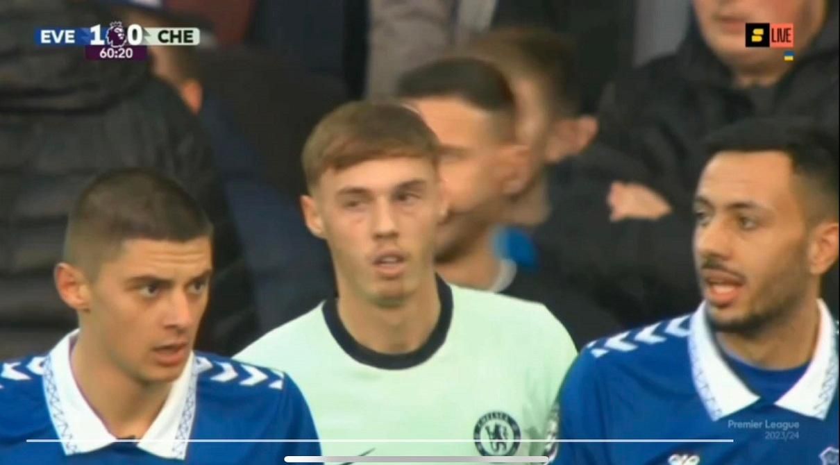 Миколенко, Палмер і Макніл / Скріншот з трансляції