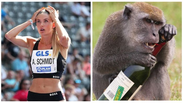 Самую сексуальную атлетку мира "обчистила" обезьяна во время купания - забавные фото дерзкой кражи