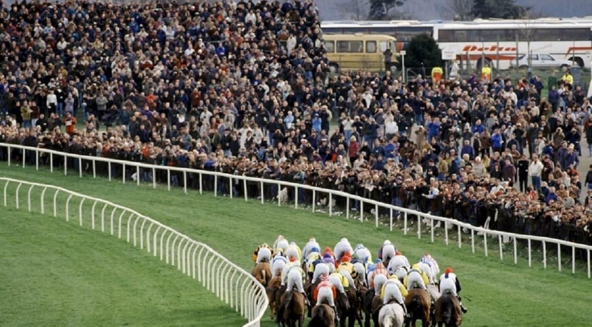 Гонки в Челтнеме / Фото Imago