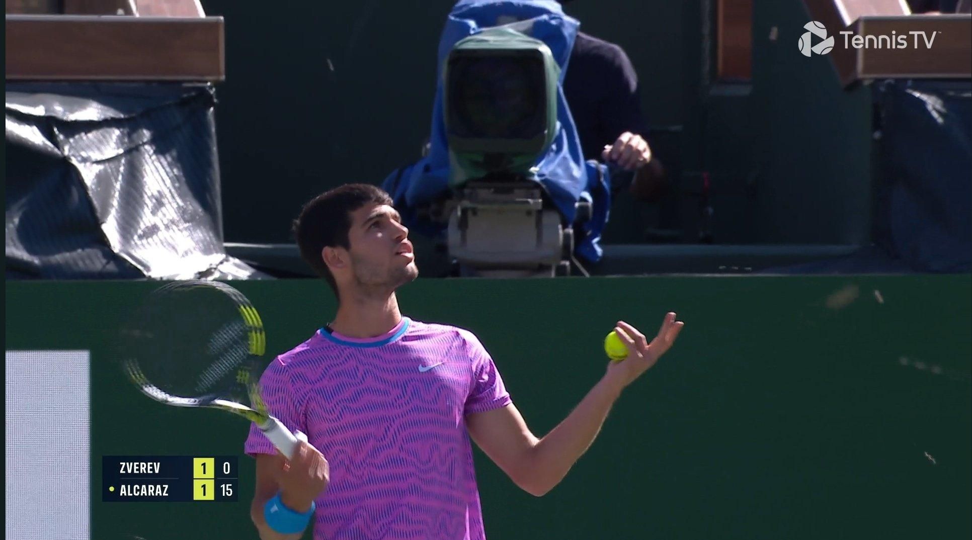 Алькарас під час атаки бджіл / Скріншот з відео