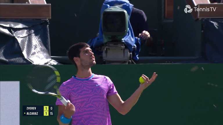 Алькарас під час атаки бджіл / Скріншот з відео Алькарас під час атаки бджіл / Скріншот з відео