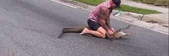 Боєць ММА голіруч приборкав величезного крокодила прямо посеред вулиці – вражаюче відео