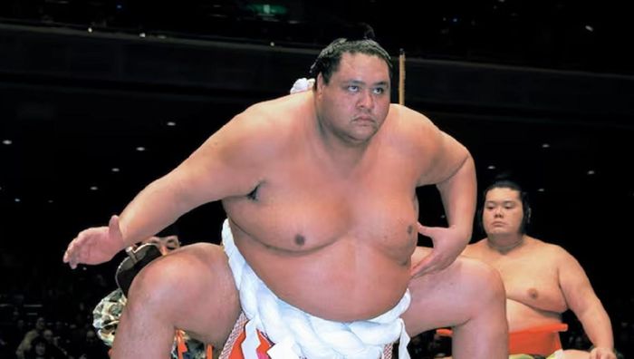 Умер легендарный сумоист Таро - имел более 2 метров роста и весил 230 кг
