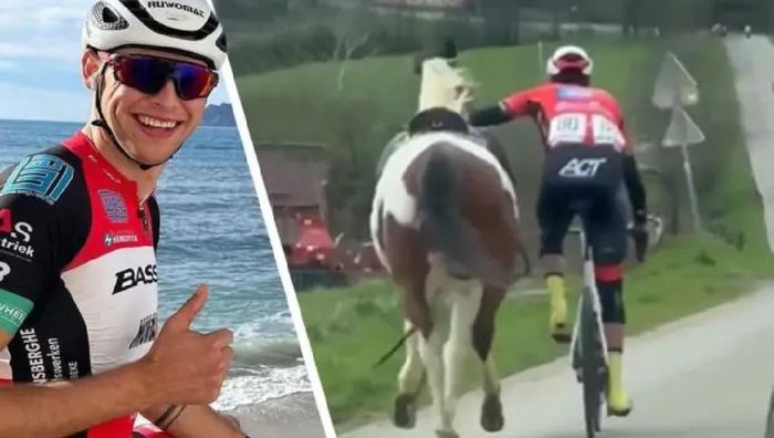 Бельгийский велогонщик спас лошадь: благодаря опыту из детства
