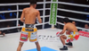 Японський чемпіон WBC нокаутував суперника ударом в живіт – відео