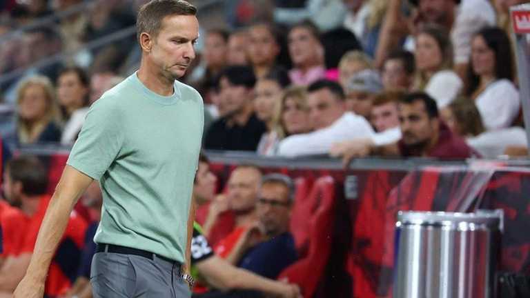 Пепейн Лейндерс / Pro Shots Пепейн Лейндерс / Pro Shots