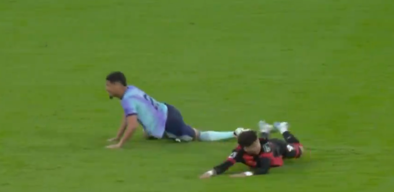 Вилучення Саліба / Скріншот з відео Вилучення Саліба / Скріншот з відео