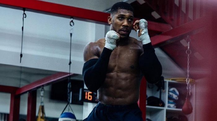 Джошуа может подраться за временный титул в 2025 году – путь к трилогии с Усиком