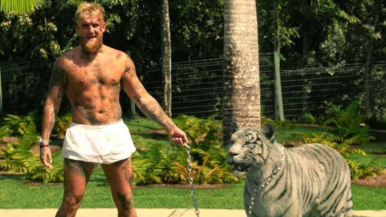 Джейк Пол / фото из Instagram Джейк Пол / фото из Instagram