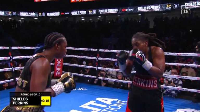 Шилдс – Перкинс / Скриншот Шилдс – Перкинс / Скриншот