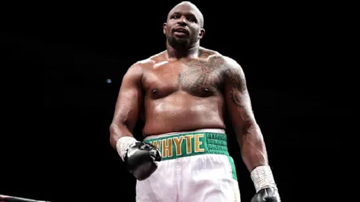 Вайт і Джо Джойс отримали офіційну дату бою – відомий андеркард