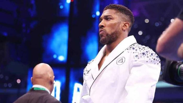 Джошуа та Джейк Пол близькі до укладання угоди про бій – на кону буде 160 мільйонів євро