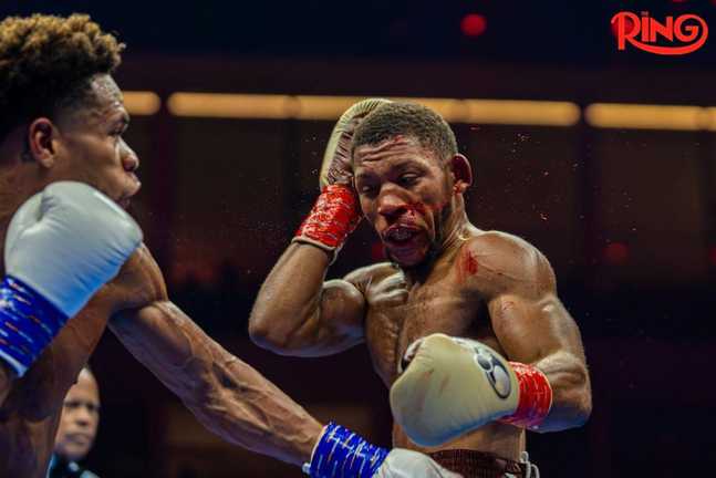 Хейні й Норман / Фото The Ring Хейні й Норман / Фото The Ring