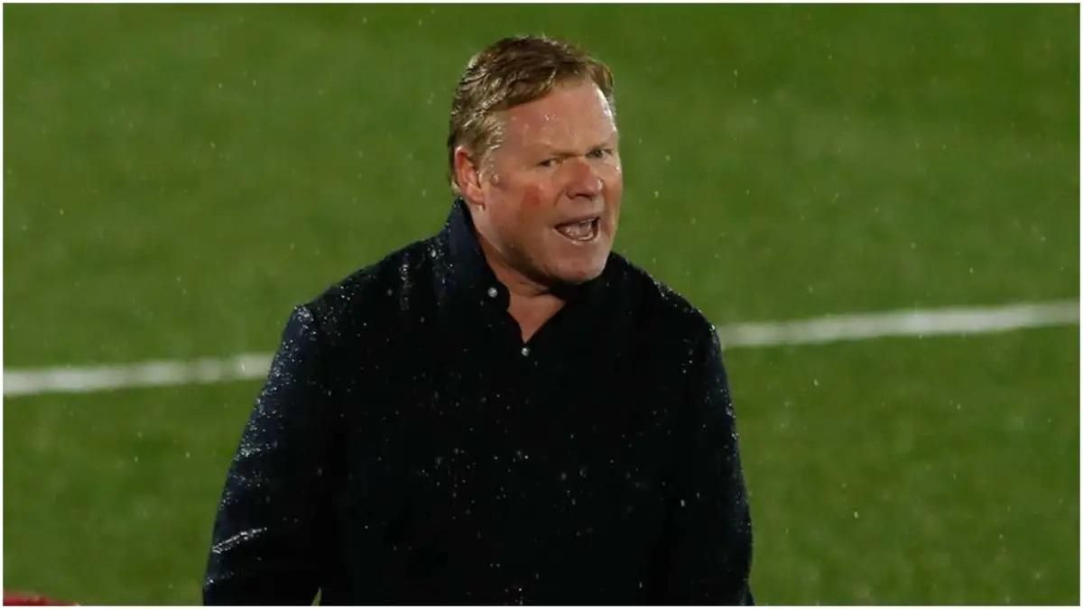 Рональд Куман/ IMAGO Рональд Куман/ IMAGO