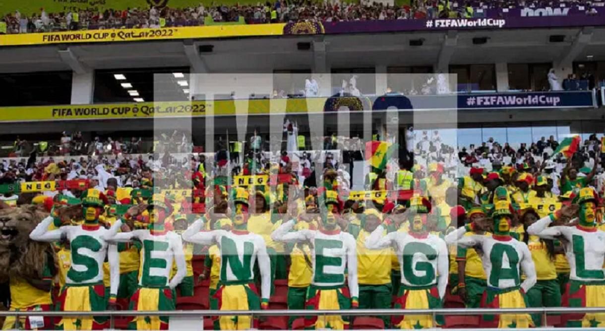 Фанати збірної Сенегалу з футболу / Фото Imago