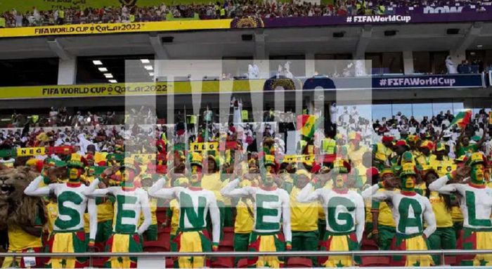 Фанати Сенегелу збожеволіли після скандальної перемоги їхньої збірної на КАН (ВІДЕО)
