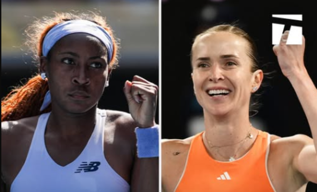 Свитолина играет в четвертьфинале Australian Open – онлайн-трансляция матча с Хофф